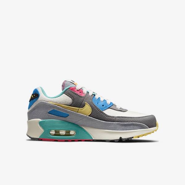 Nike Air Max 90 Older Sneakers Kinderen Grijs Roze | NK397HLU