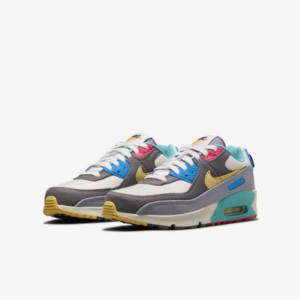 Nike Air Max 90 Older Sneakers Kinderen Grijs Roze | NK397HLU