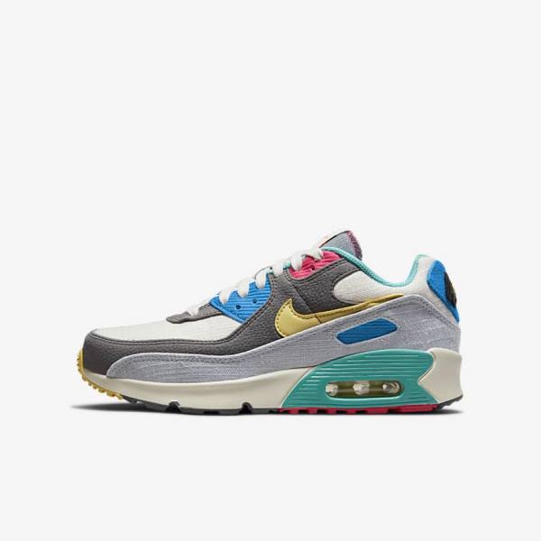 Nike Air Max 90 Older Sneakers Kinderen Grijs Roze | NK397HLU