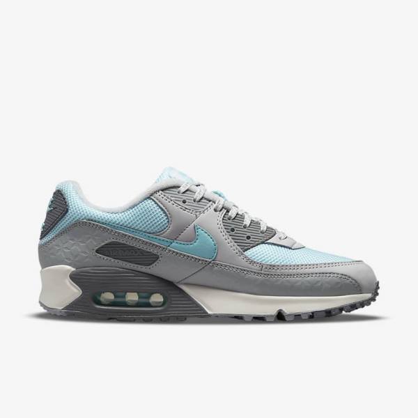 Nike Air Max 90 Sneakers Heren Grijs Platina | NK075ECD