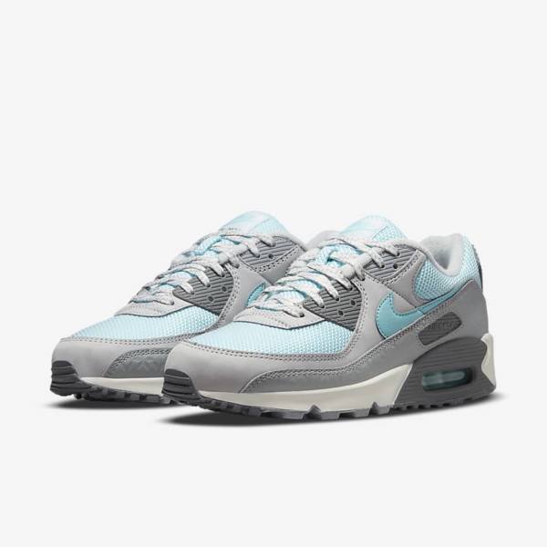 Nike Air Max 90 Sneakers Heren Grijs Platina | NK075ECD