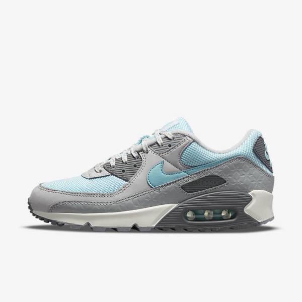 Nike Air Max 90 Sneakers Heren Grijs Platina | NK075ECD