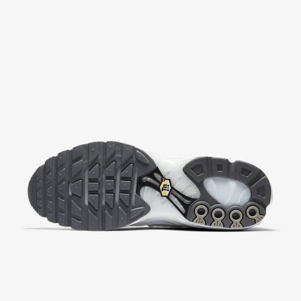 Nike Air Max Plus Sneakers Heren Wit Zwart Grijs Wit | NK294BIZ