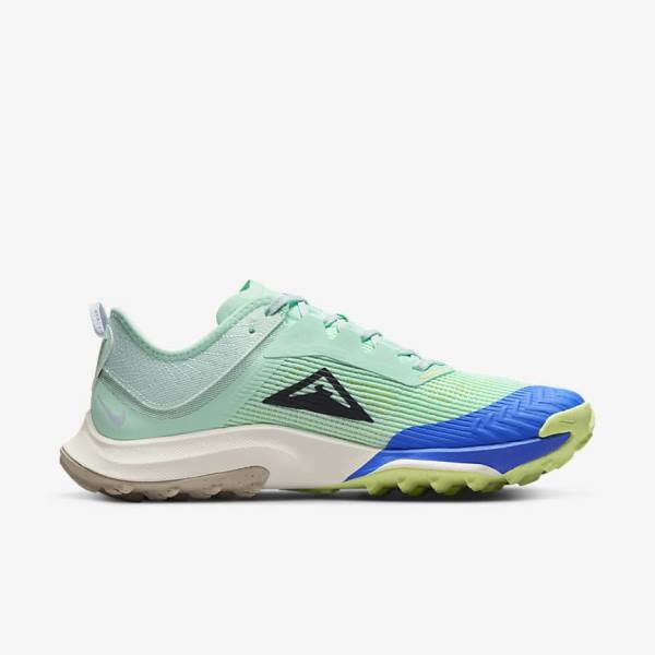 Nike Air Zoom Terra Kiger 8 Trail Hardloopschoenen Dames Mintgroen Grijs Blauw | NK097KGM