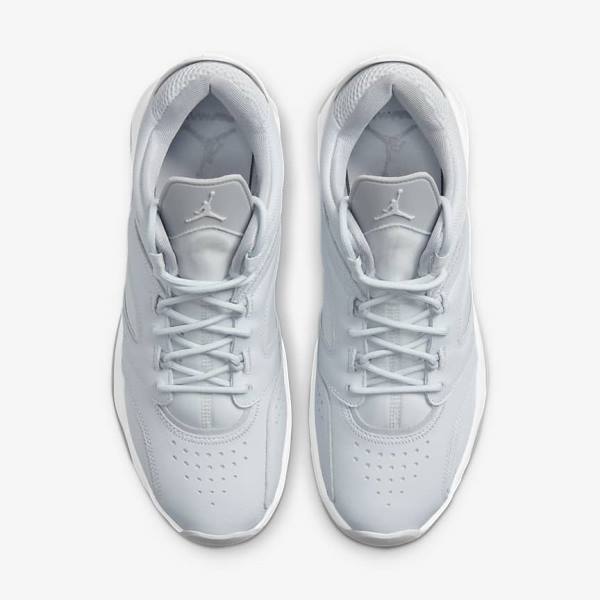 Nike Jordan Point Lane Jordan Schoenen Heren Platina Wit Grijs | NK510VRX