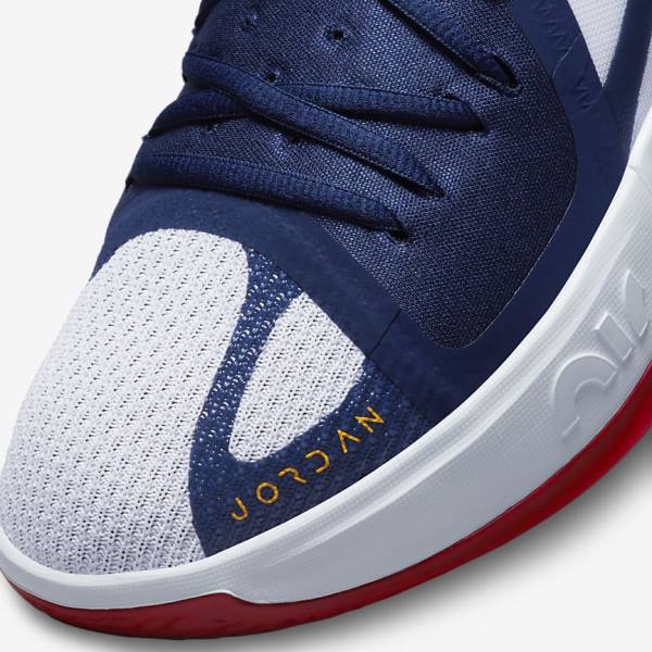 Nike Jordan Zoom Separate Jordan Schoenen Heren Donkerblauw Wit Rood Goud | NK657NFA