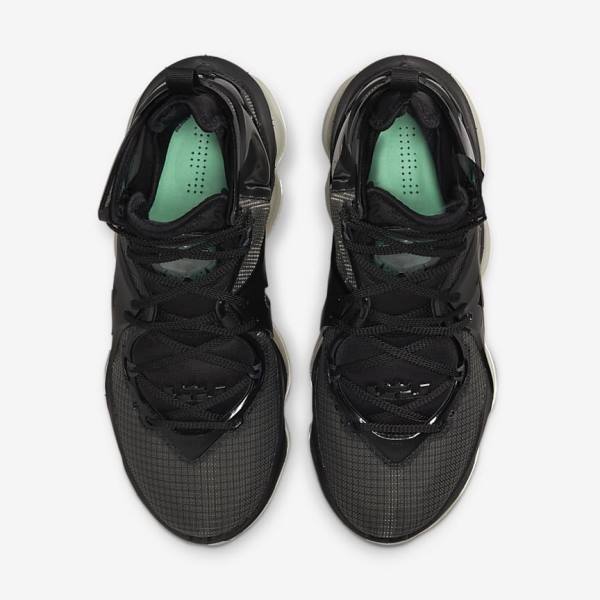 Nike LeBron 19 Basketbalschoenen Heren Zwart Donkergrijs Groen | NK268KFH