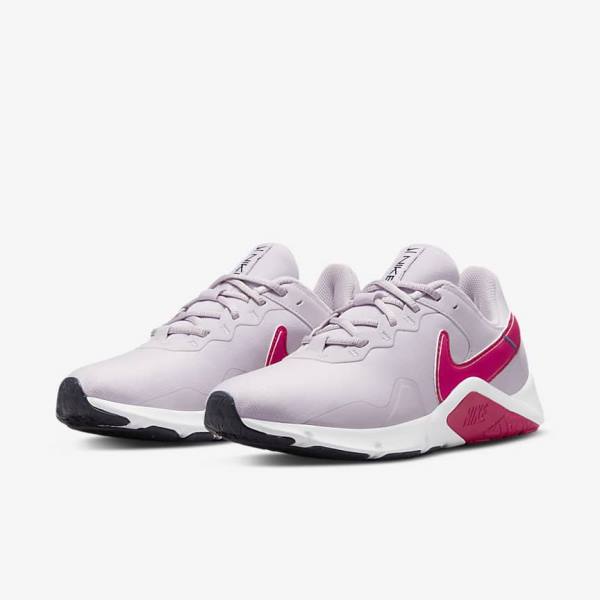 Nike Legend Essential 2 Fitness Schoenen Dames Wit Blauw Roze | NK239OPE