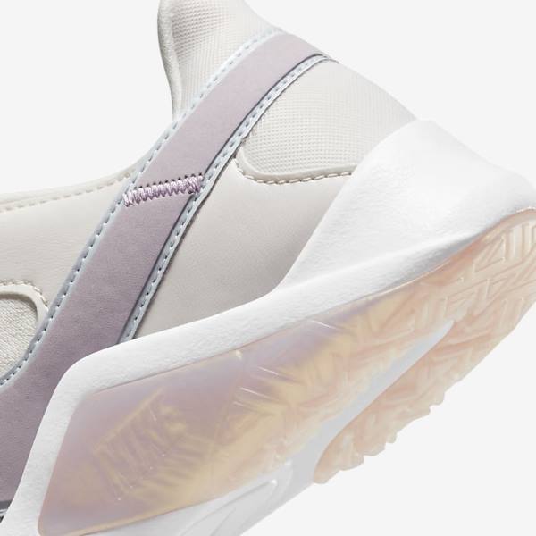 Nike Legend Essential 2 Premium Fitness Schoenen Dames Zwart Platina Wit | NK980HJC