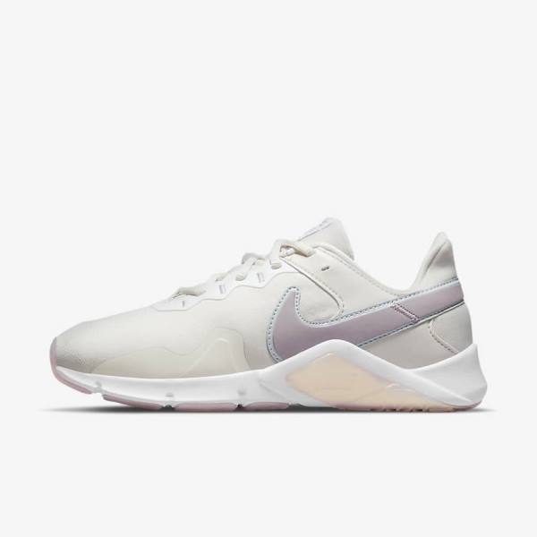 Nike Legend Essential 2 Premium Fitness Schoenen Dames Zwart Platina Wit | NK980HJC