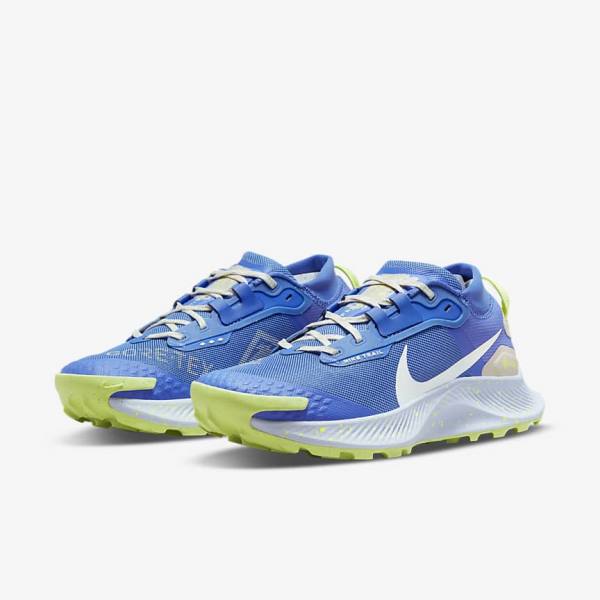 Nike Pegasus Trail 3 GORE-TEX Waterdichte Trail Hardloopschoenen Dames Blauw Bruin Grijs | NK086XJD