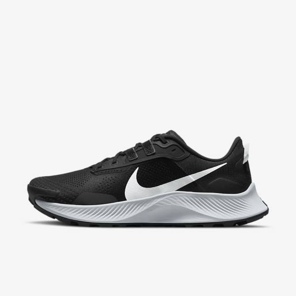 Nike Pegasus Trail 3 Trail Hardloopschoenen Heren Zwart Donkergrijs Platina | NK480BTZ