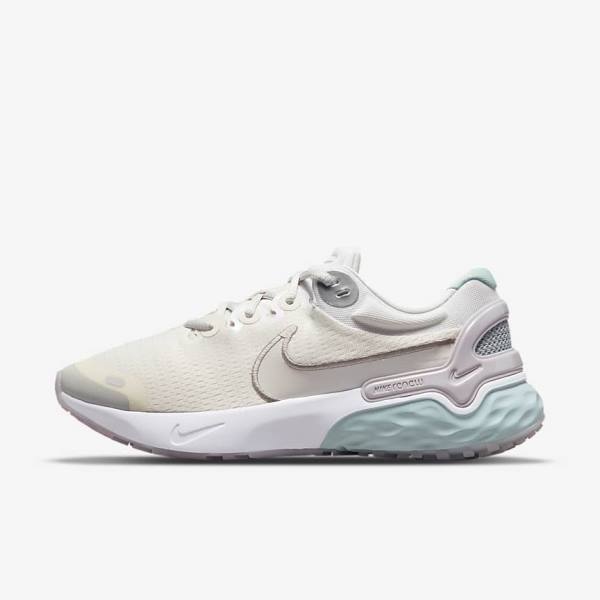 Nike Renew Run 3 Premium Weg Hardloopschoenen Dames Metal Grijs | NK971WFS