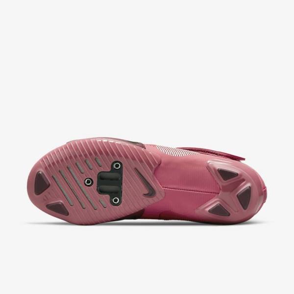 Nike SuperRep Cycle Indoor Cycling Fitness Schoenen Dames Roze Metal Lichtroze | NK836AOI