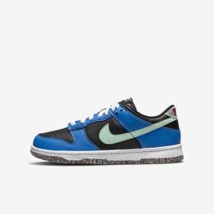 Nike Dunk Low SE Older Sneakers Kinderen Zwart Lichtblauw Roze Mintgroen | NK731EIR